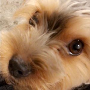 Meet your Posher, Rizamarie